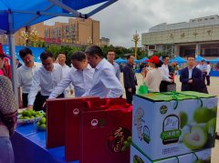 以“尚德守法、共